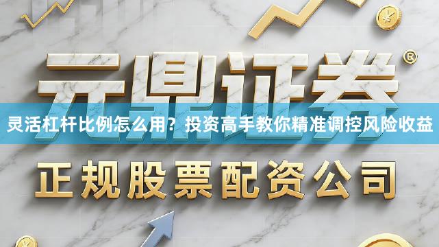 灵活杠杆比例怎么用？投资高手教你精准调控风险收益