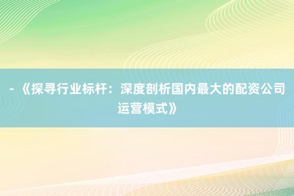 - 《探寻行业标杆：深度剖析国内最大的配资公司运营模式》
