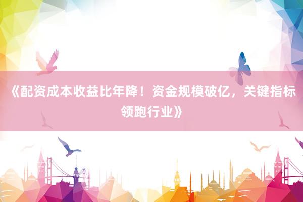 《配资成本收益比年降！资金规模破亿，关键指标领跑行业》