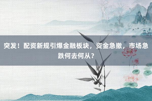 突发！配资新规引爆金融板块，资金急撤，市场急跌何去何从？