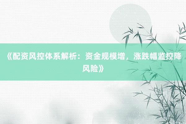 《配资风控体系解析：资金规模增，涨跌幅监控降风险》