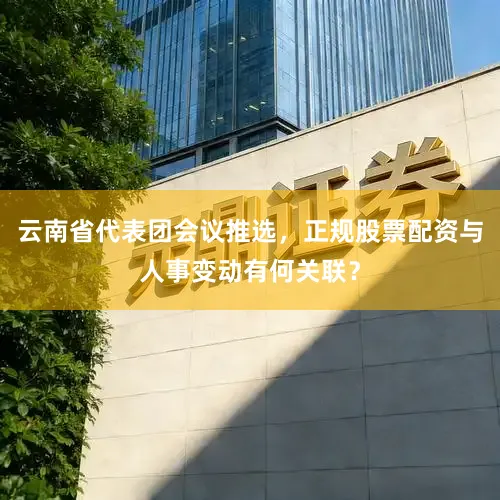 云南省代表团会议推选，正规股票配资与人事变动有何关联？