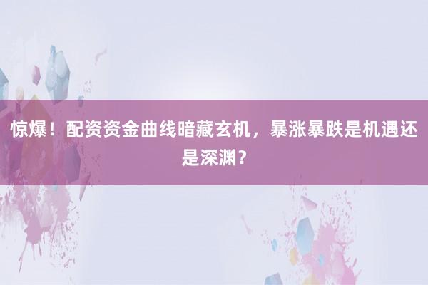 惊爆！配资资金曲线暗藏玄机，暴涨暴跌是机遇还是深渊？