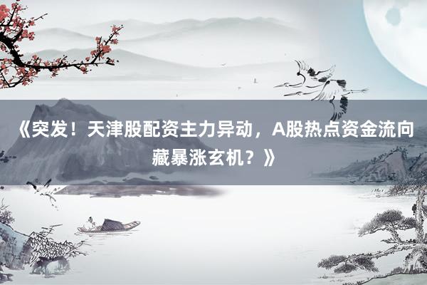 《突发！天津股配资主力异动，A股热点资金流向藏暴涨玄机？》