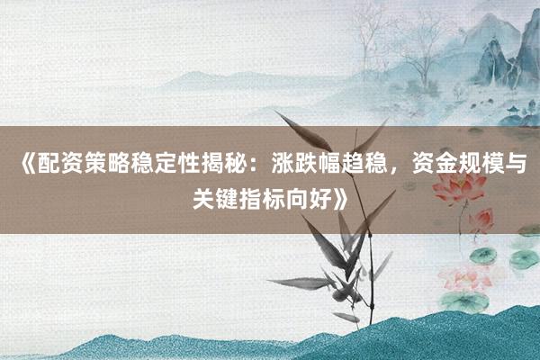 《配资策略稳定性揭秘：涨跌幅趋稳，资金规模与关键指标向好》