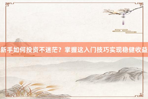 新手如何投资不迷茫？掌握这入门技巧实现稳健收益