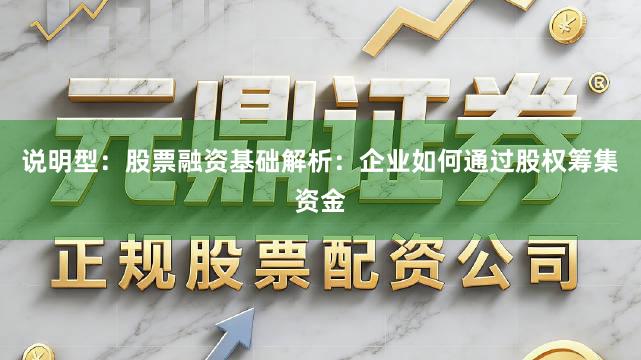说明型：股票融资基础解析：企业如何通过股权筹集资金