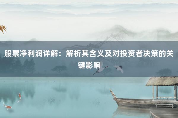 股票净利润详解：解析其含义及对投资者决策的关键影响