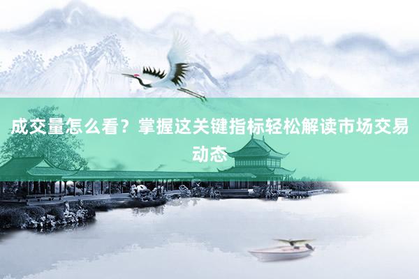 成交量怎么看？掌握这关键指标轻松解读市场交易动态
