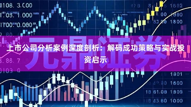 上市公司分析案例深度剖析：解码成功策略与实战投资启示