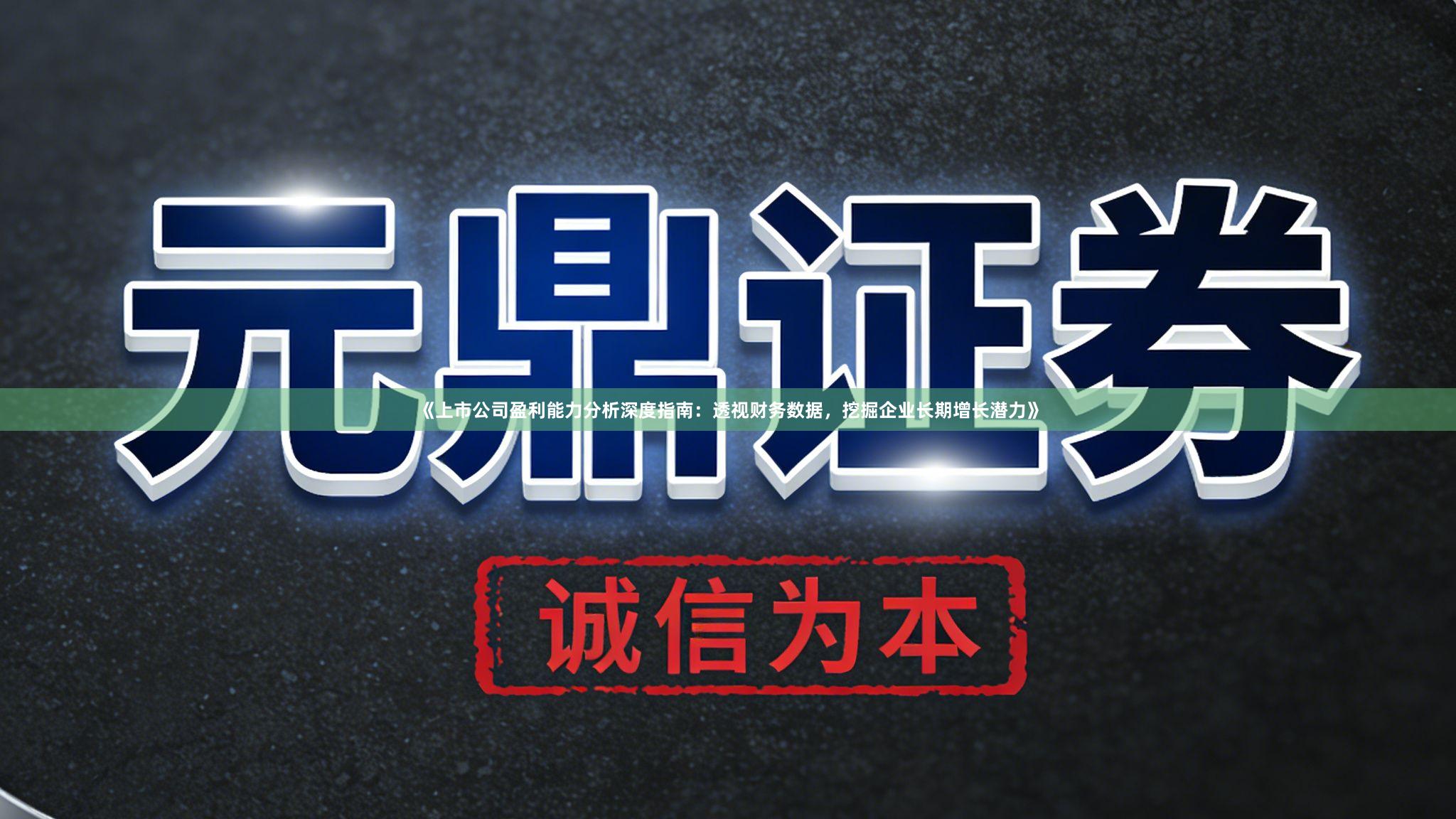 《上市公司盈利能力分析深度指南：透视财务数据，挖掘企业长期增长潜力》