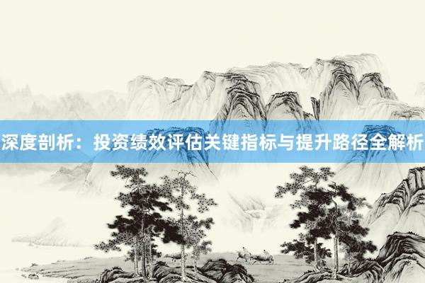 深度剖析：投资绩效评估关键指标与提升路径全解析