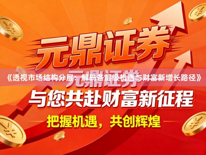 《透视市场结构分层：解码各层级机遇与财富新增长路径》
