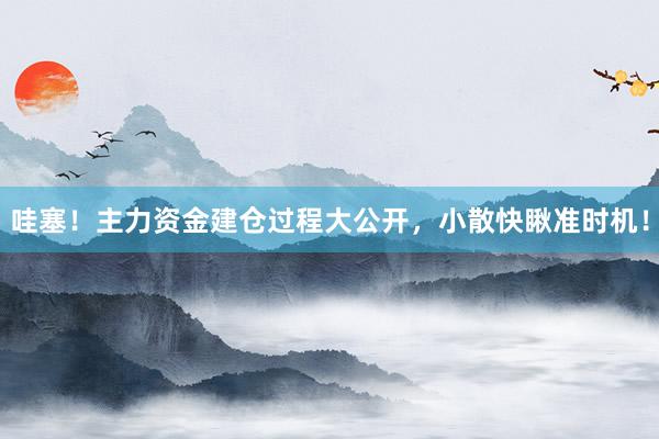 哇塞！主力资金建仓过程大公开，小散快瞅准时机！