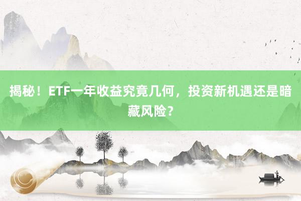 揭秘！ETF一年收益究竟几何，投资新机遇还是暗藏风险？